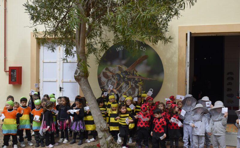 Inaugurata la nuova mostra “INSETTI & CO. Il laboratorio vivo”