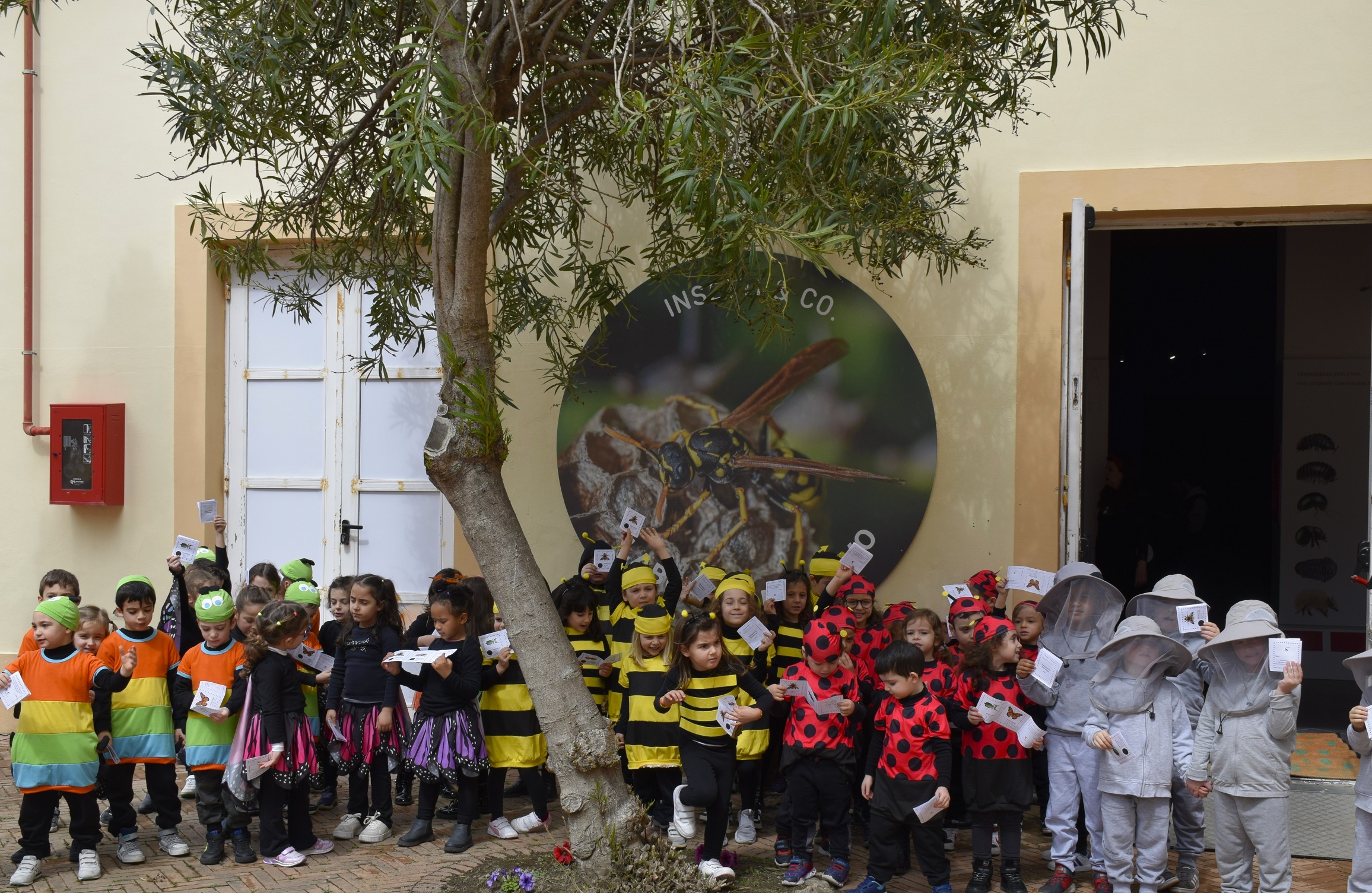 Inaugurata la nuova mostra “INSETTI & CO. Il laboratorio vivo”